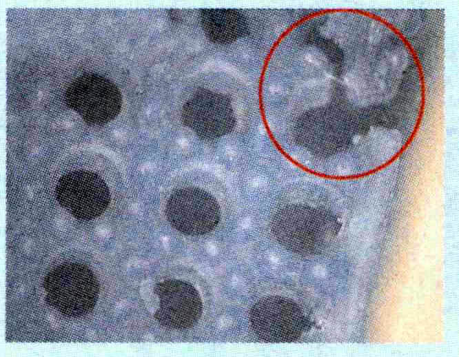 Voksstykket er ufullstendig.