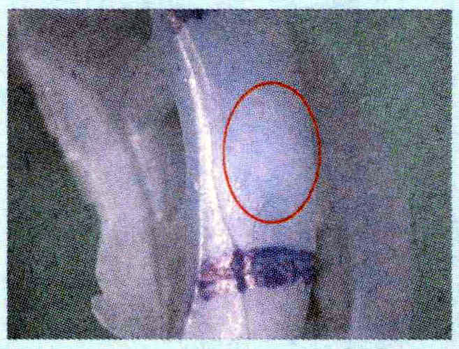 Det er bobler på innsiden av voksstykket