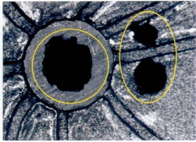 マスターモールドは崩れ、穴のエッジが欠けている。
