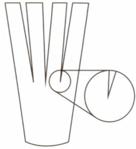 リングサイドのV字型のくぼみ装飾