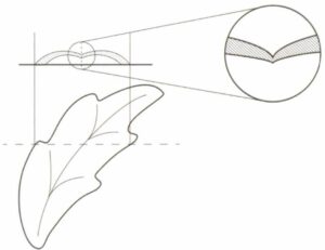 マスターモールドの肉厚は大きく異なる