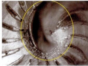 マスターモールドのデッドコーナーのサンディングが不十分