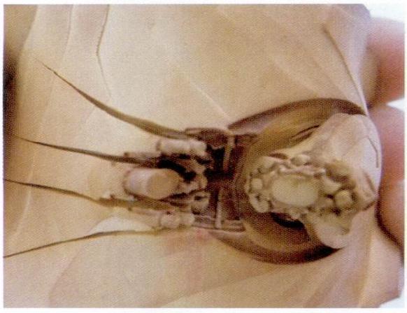 Figure 6-15 Improper cutting method of the rubber mold makes it difficult to demold