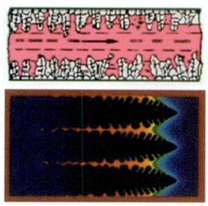 (a) Schematic diagram of dendrite crystal formation