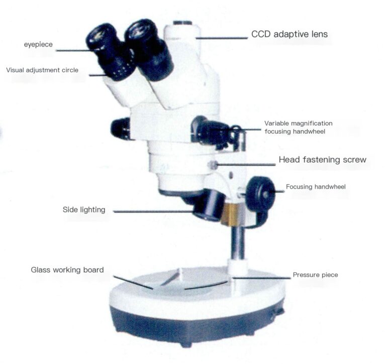 Stereomicroscope with digital imaging system