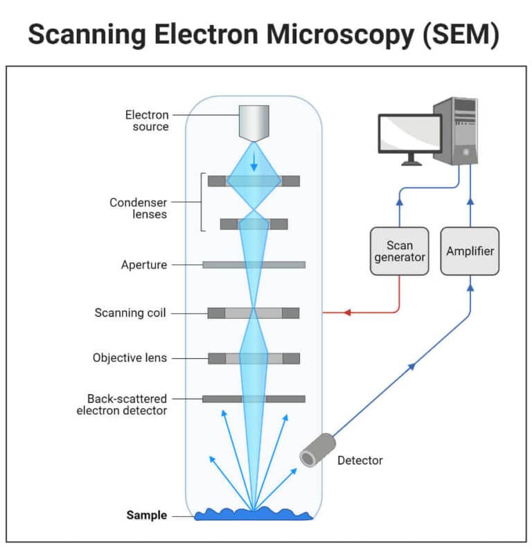 Working principle of scanning electron microscope
