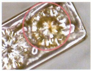 На рисунке 9-40 показано, что белый цвет камня становится желтым после нанесения покрытия.