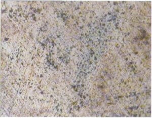 (b) Metallographic microscope