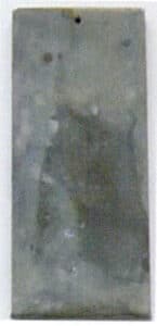 (a) Stereomicroscope