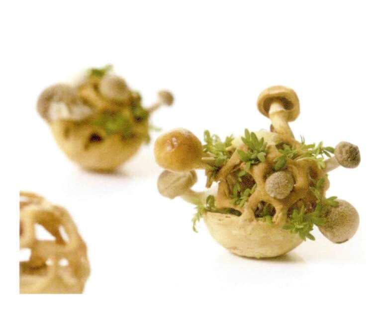 3Dプリンティング技術で作られた3D食品