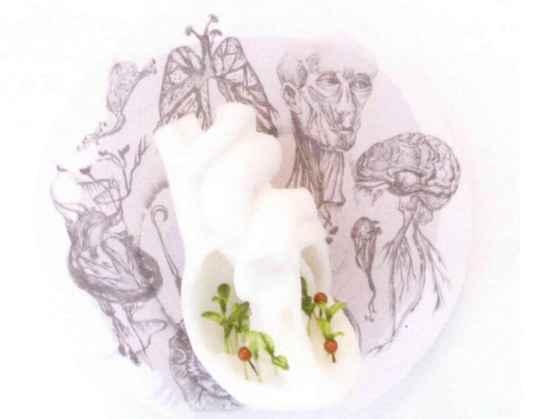 Xie Bai、Xie Zhouqiang, Touch my body- house, silicone、synthesized material, 30cmx30cm, 2011