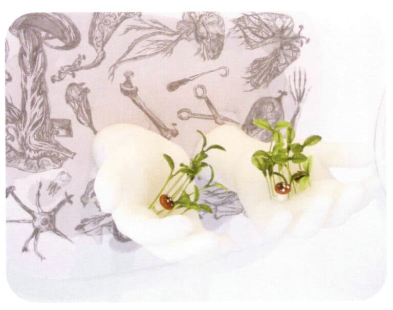 Xie Bai、Xie Zhouqiang, Touch my body- organics, silicone、synthesized material, 30cmx30cm, 2011