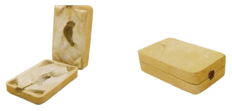 Rubber mold of the owl part