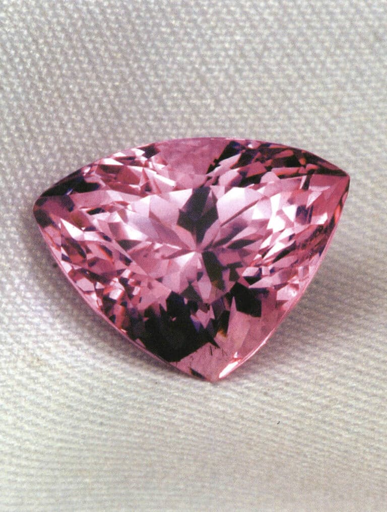 紫色のスポジュメン