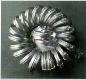 그림 5-13은 플래티넘 주조 트리에 나타나는 버 결함을 보여줍니다.