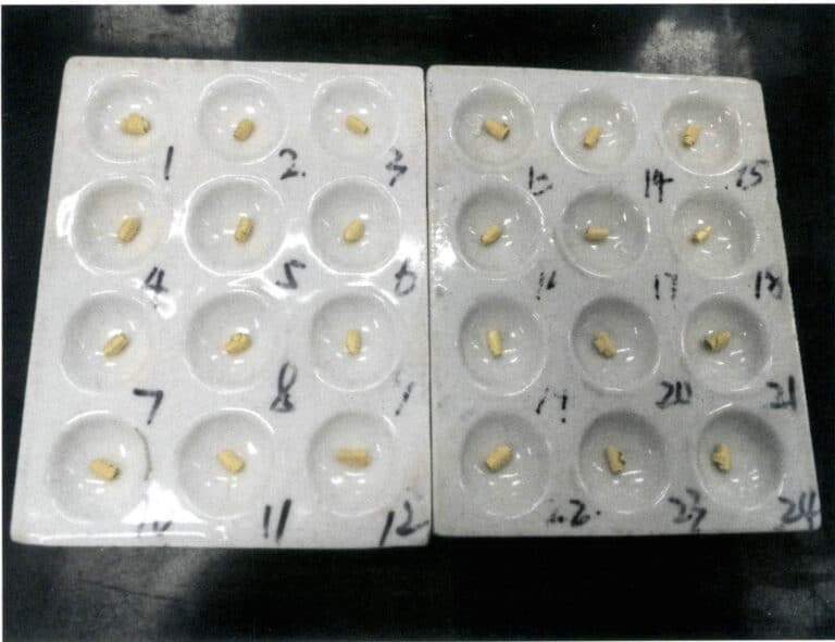 Figure 6-14 Gold roll after separation and burning