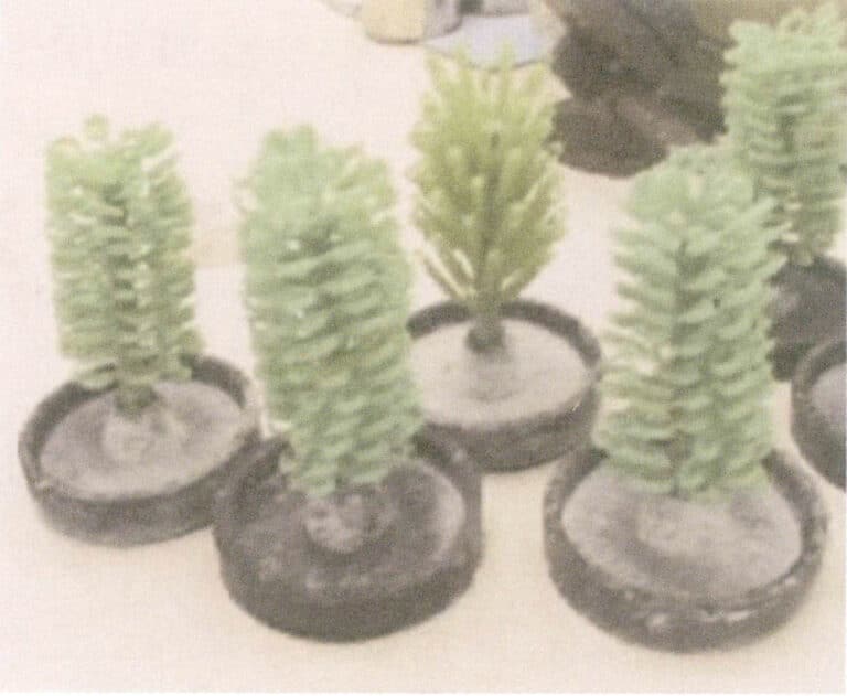 Figur 3-20 Det vokste vokstreet