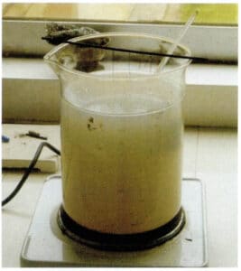 Sodium Sulfide Solution Immersion Method