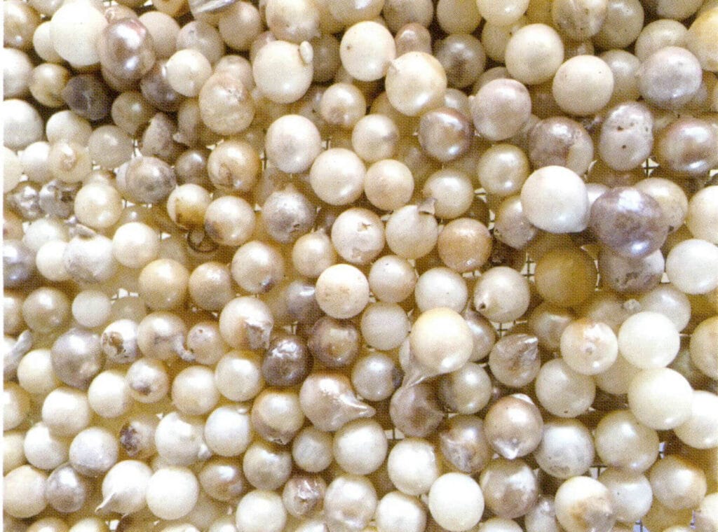 【新品】オーストラリアの白い海水真珠のペンダント12-13mm 桜色透き白い 滑らか 強い光沢 中国国家検査証明書SG46 ポイント10倍パール ネックレス 淡水 真珠 大珠 10-10.5