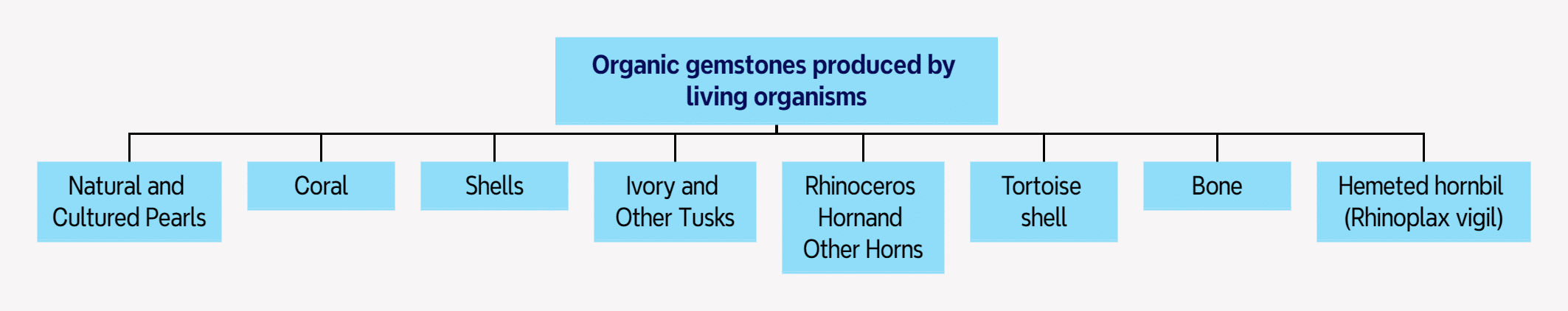Figure 0-2-2 Common Organic Gemstones Produced by Living Organisms