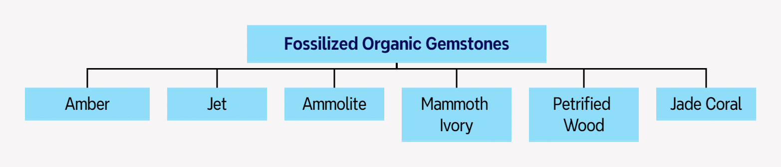 Figure 0-2-3 Fossilized Organic Gemstones