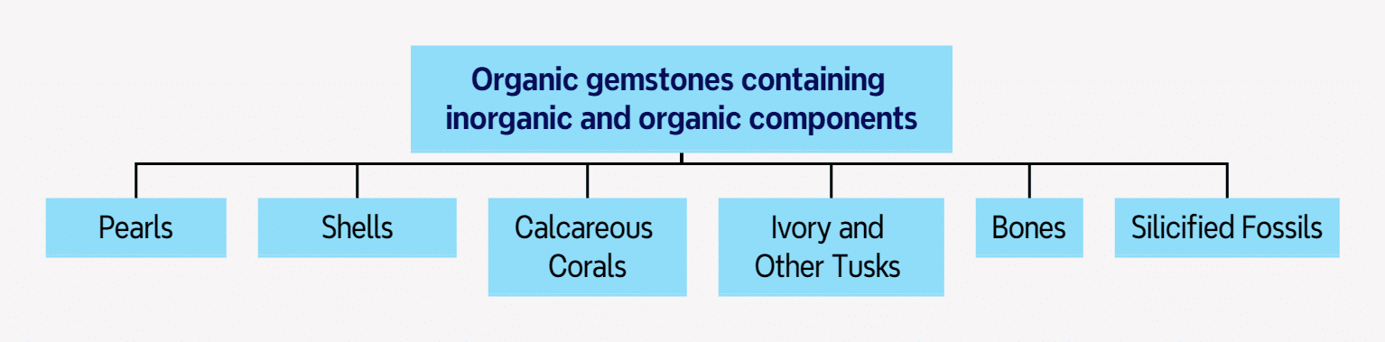 Figure 0-2-4 Organic gemstones containing inorganic and organic components
