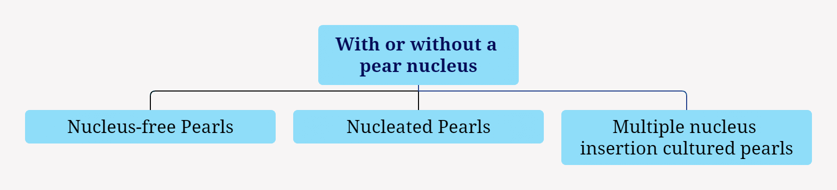 الشكل 1-4-17 تصنيف اللآلئ بناءً على النواة