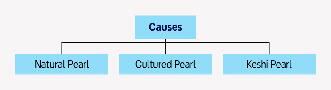 الشكل 1-4-2 تصنيف اللآلئ حسب السبب