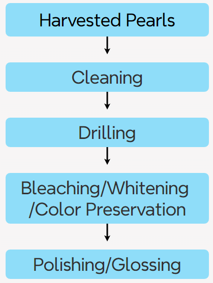 Figure 1-5-1 Workflow of optimized processing of harvested pearls