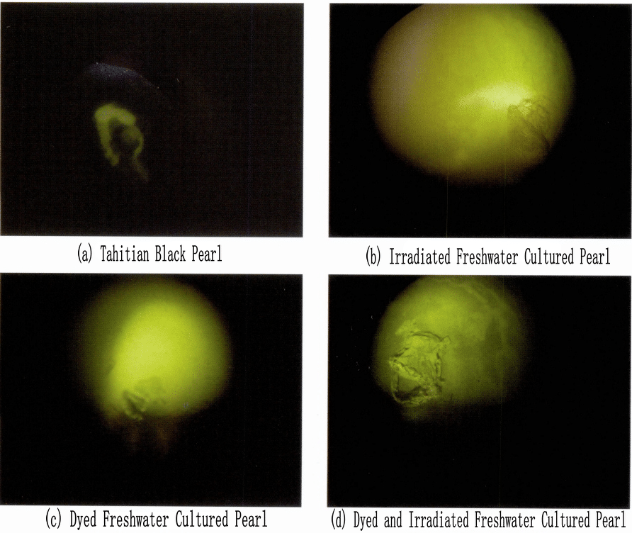 Figure 1-6-32 Cathodoluminescence characteristics of four types of black pearls