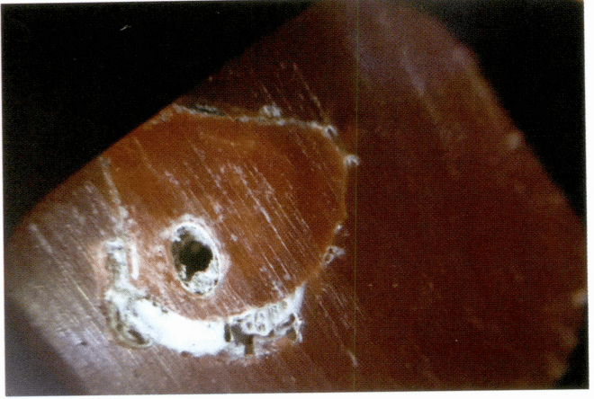 Рисунок 3-4-10 Кольцевые трещины в поперечном сечении коралла AKA (2)