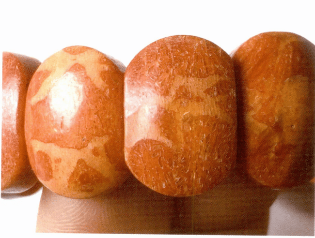 Рисунок 3-5-8 Развитие отверстий на поверхности губчатого коралла