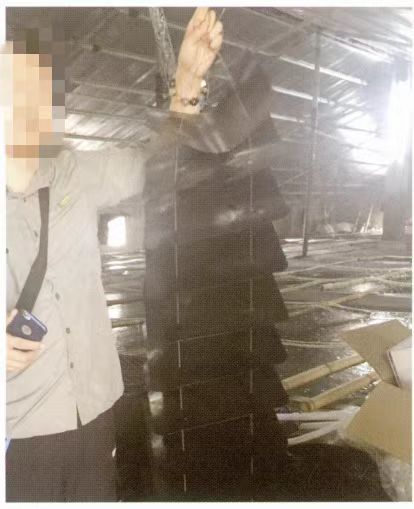 الشكل 1-3-3-52 جهاز جمع الشتلات من ماكترا