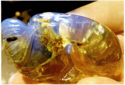 Figure 5-3-25 Dominican blue amber U.V. Light (I)