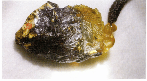 Figure 5-4-63 Fushun Amber carving (b) Reflected light