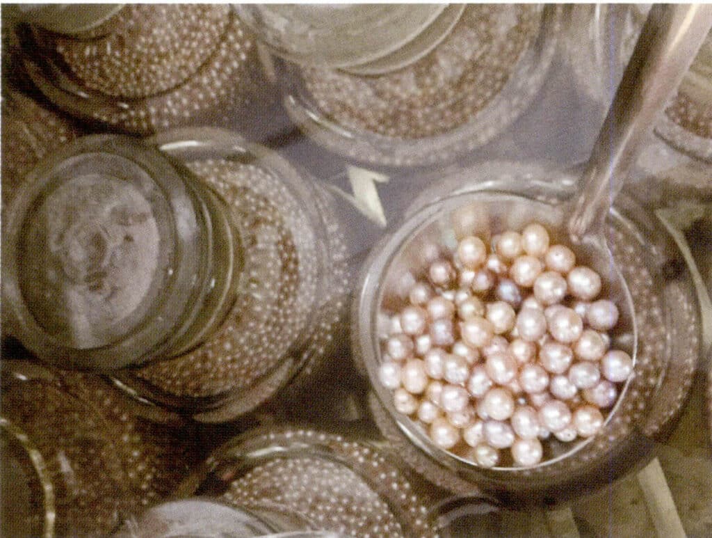 Figure 1-5-34 Preservation of Pearl Color (4)