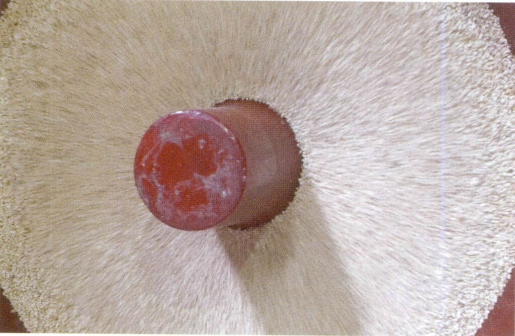 Figure 1-5-38 Polishing of Pearls 1