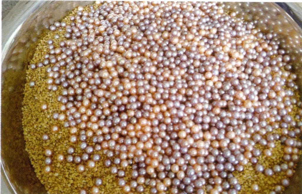 Figure 1-5-39 Polishing of Pearls 2