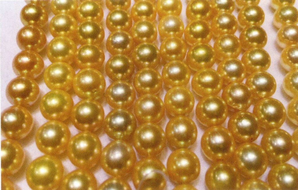 Figure 1-5-45 Dyed South Sea Aquaculture Pearls 