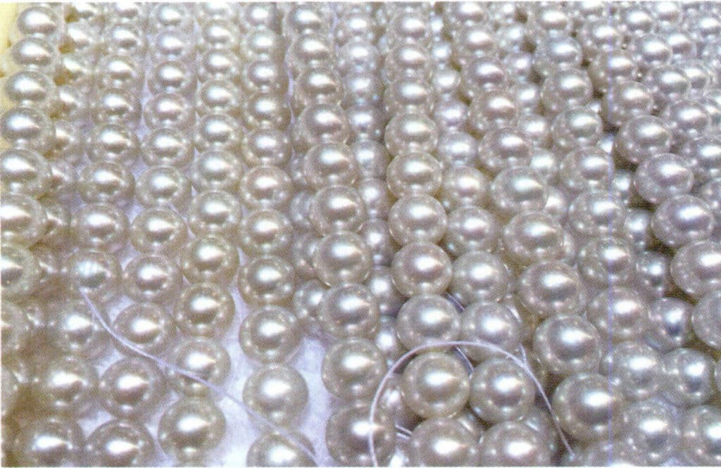 Figure 1-5-48 Stained Japanese sea water cultured pearls (1) 