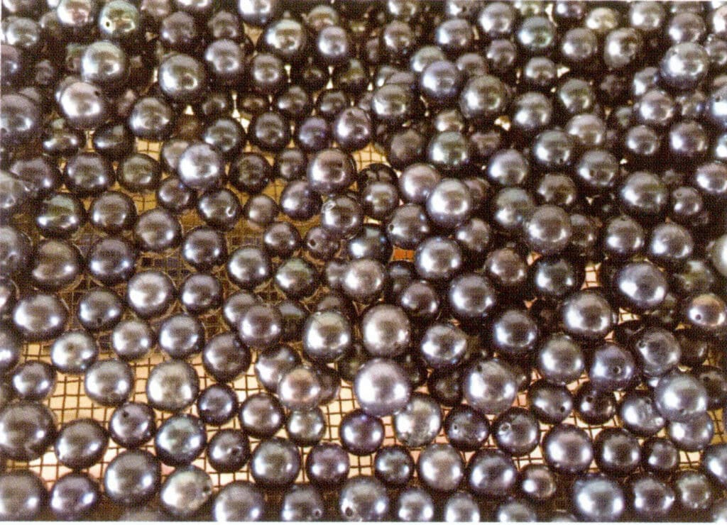 Figure 1-5-52 Sea-farmed pearls after secondary dyeing 