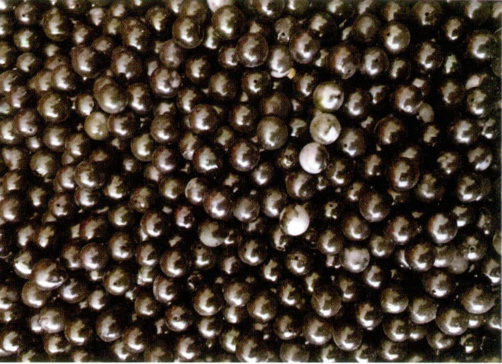 Figure 1-5-53 Completed dyed seawater cultured pearls 