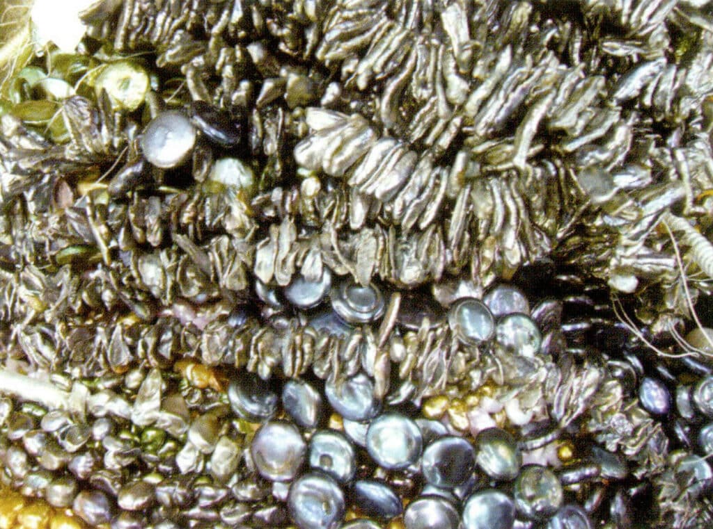 Figure 1-5-55 Dyed freshwater cultured pearls (2)