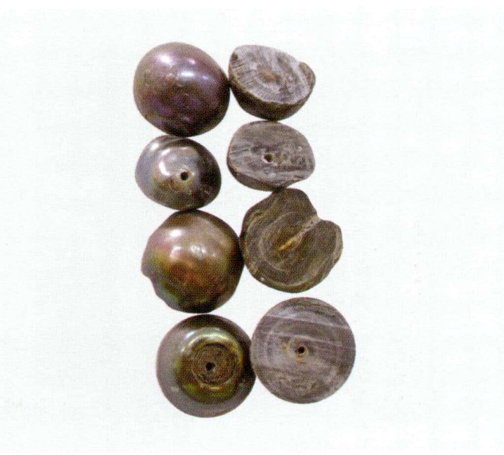 Figure 1-5-57 Cross-section of dyed freshwater cultured pearls (II)