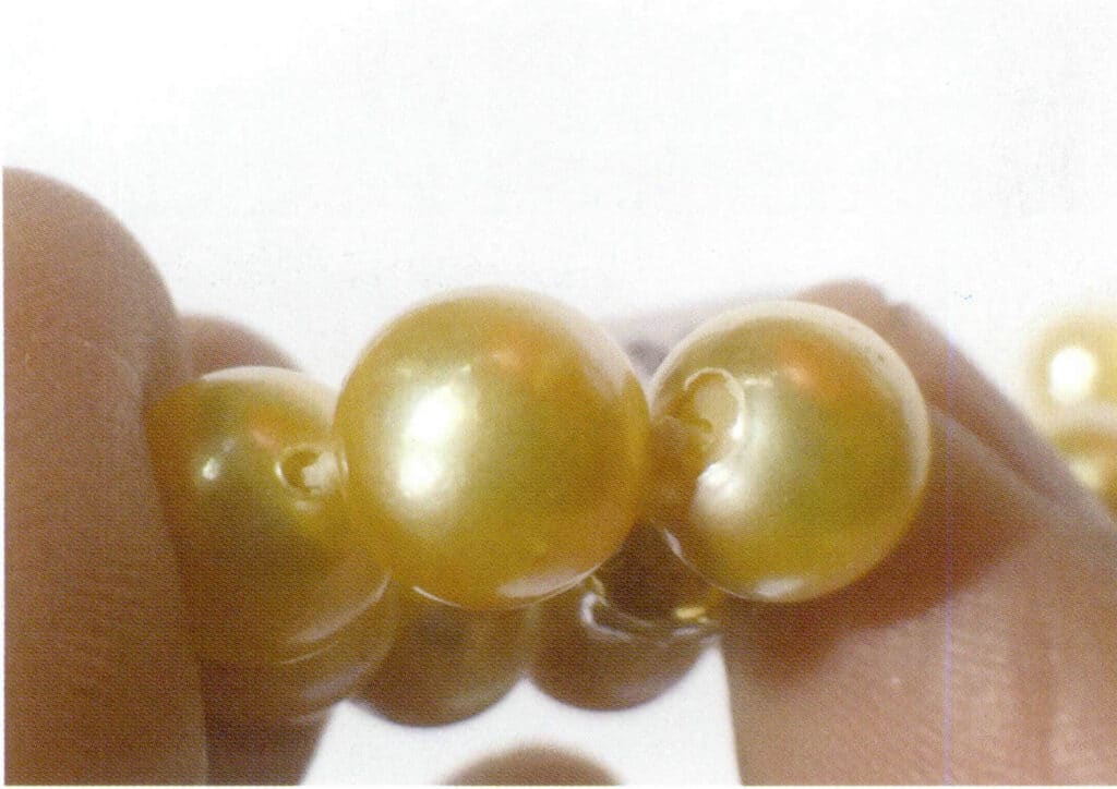 Figure 1-5-58 Characteristics of the drilling site for dyed seawater cultured pearls (1)