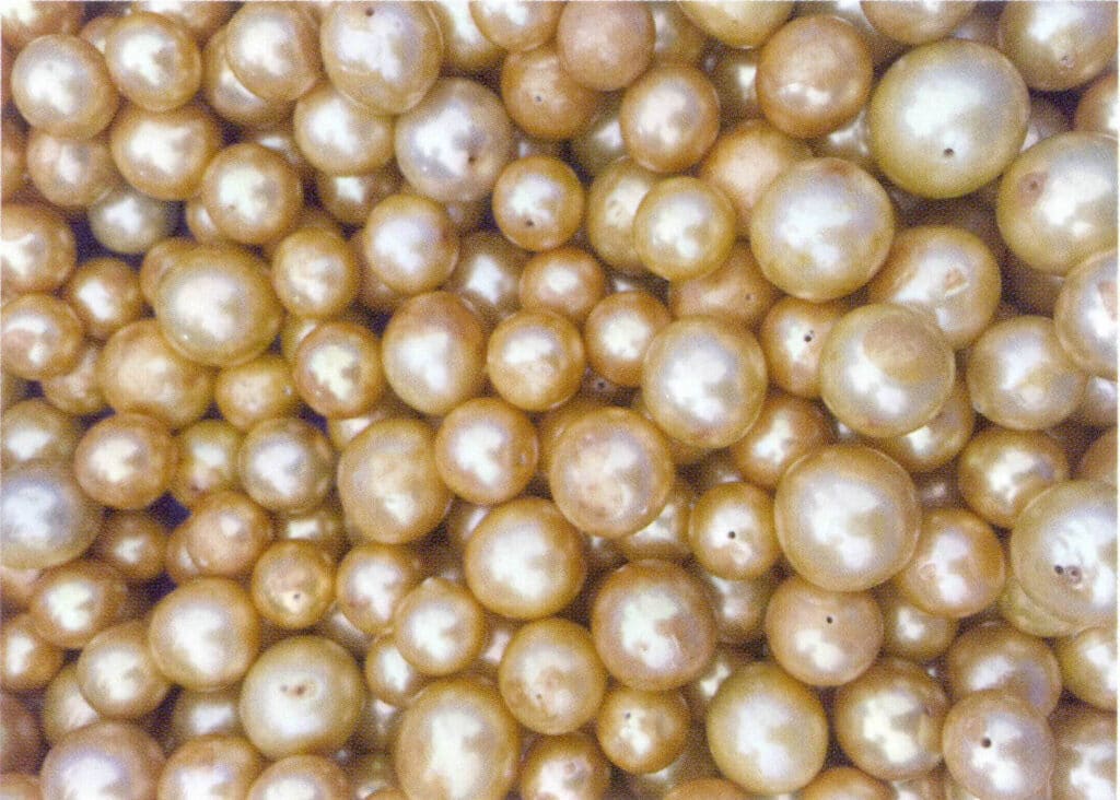 Figure 1-5-61 The color of dyed freshwater cultured pearls deepens at the drilled holes and blemishes