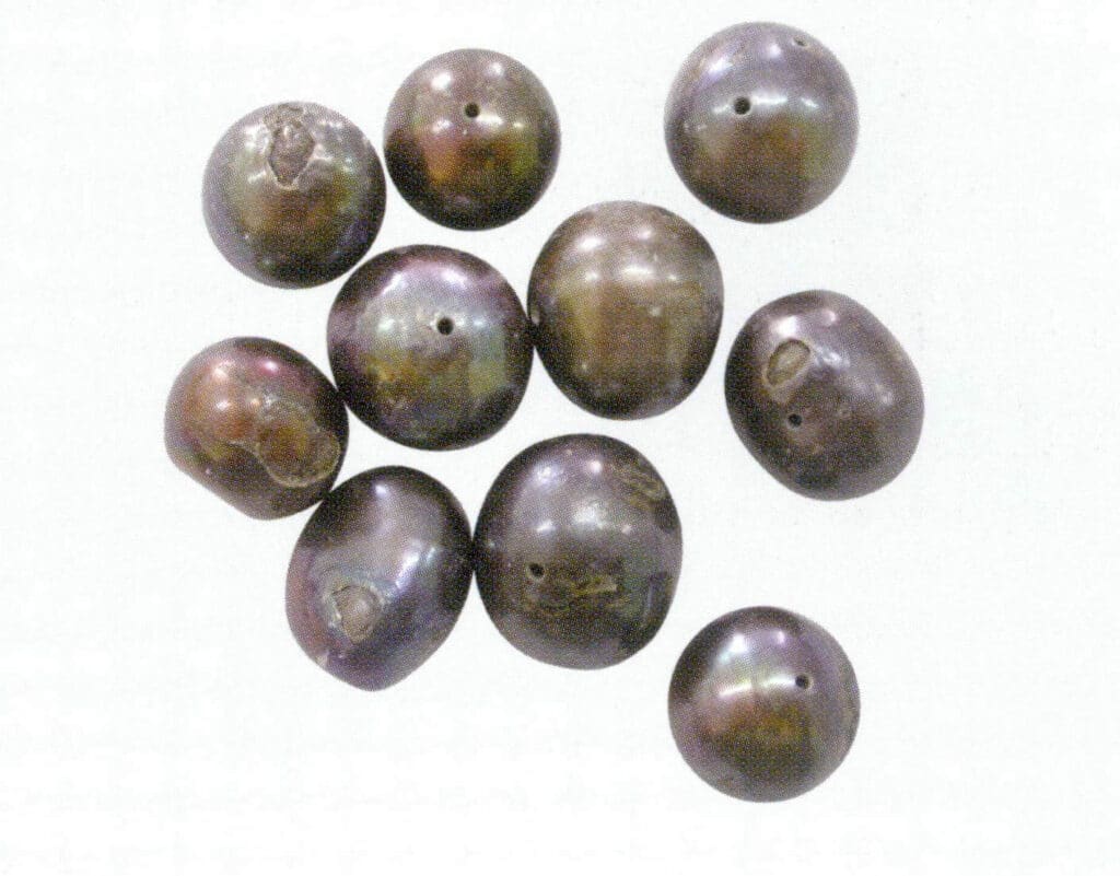Figure 1-5-65 Signs of corrosion on the surface of black-dyed freshwater cultured pearls, including the peeling of the pearl layer