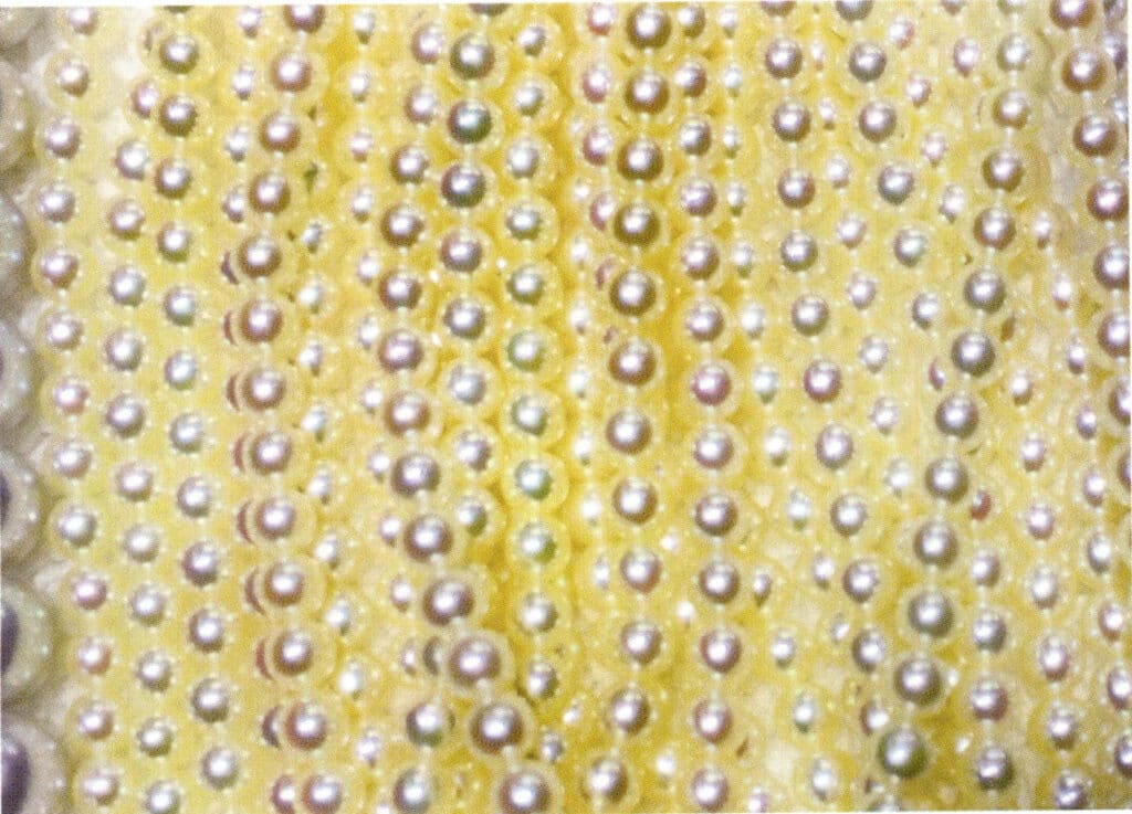 Figure 1-5-68 Shows Common Colors of Non-Japanese Sea Water Cultivated Pearls