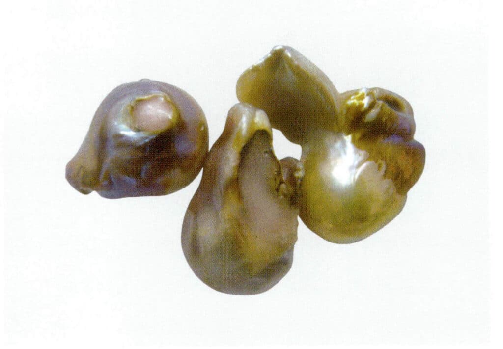 Figure 1-5-79 Freshwater nucleated pearls treated with wax