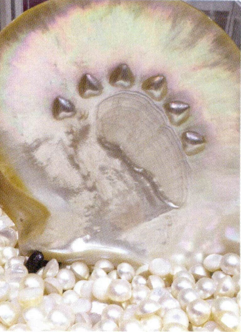 Figure 1-5-83 Cultured Zhu Pearls and Mabe Pearls (2)